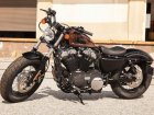 2014 Harley-Davidson Harley Davidson XL 1200X Forty-Eight